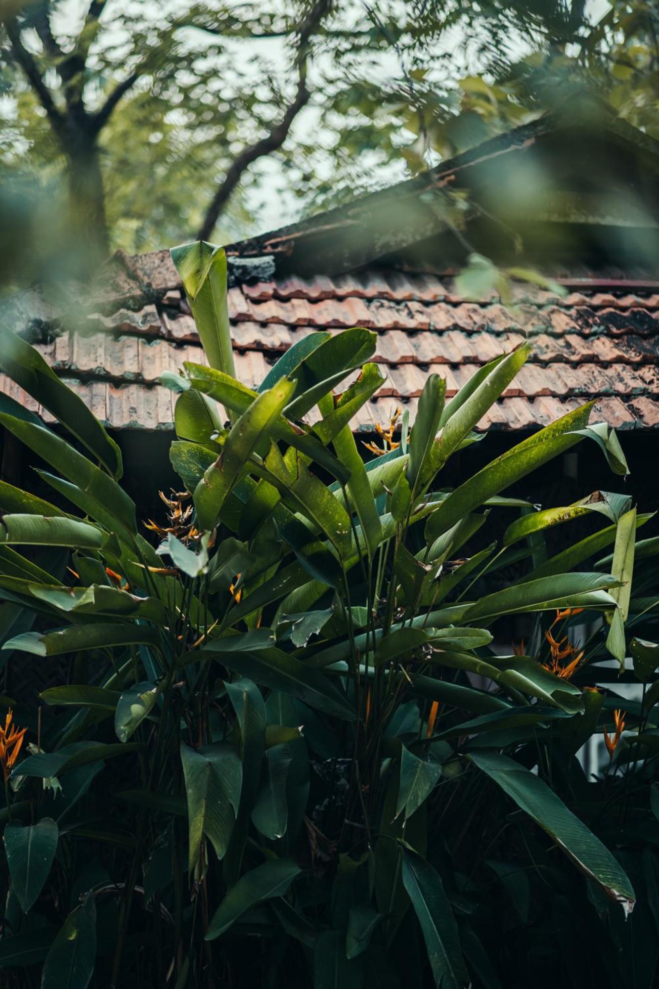 Paddlecult Surf Retreat Bed and Breakfast Varkala Esterno foto