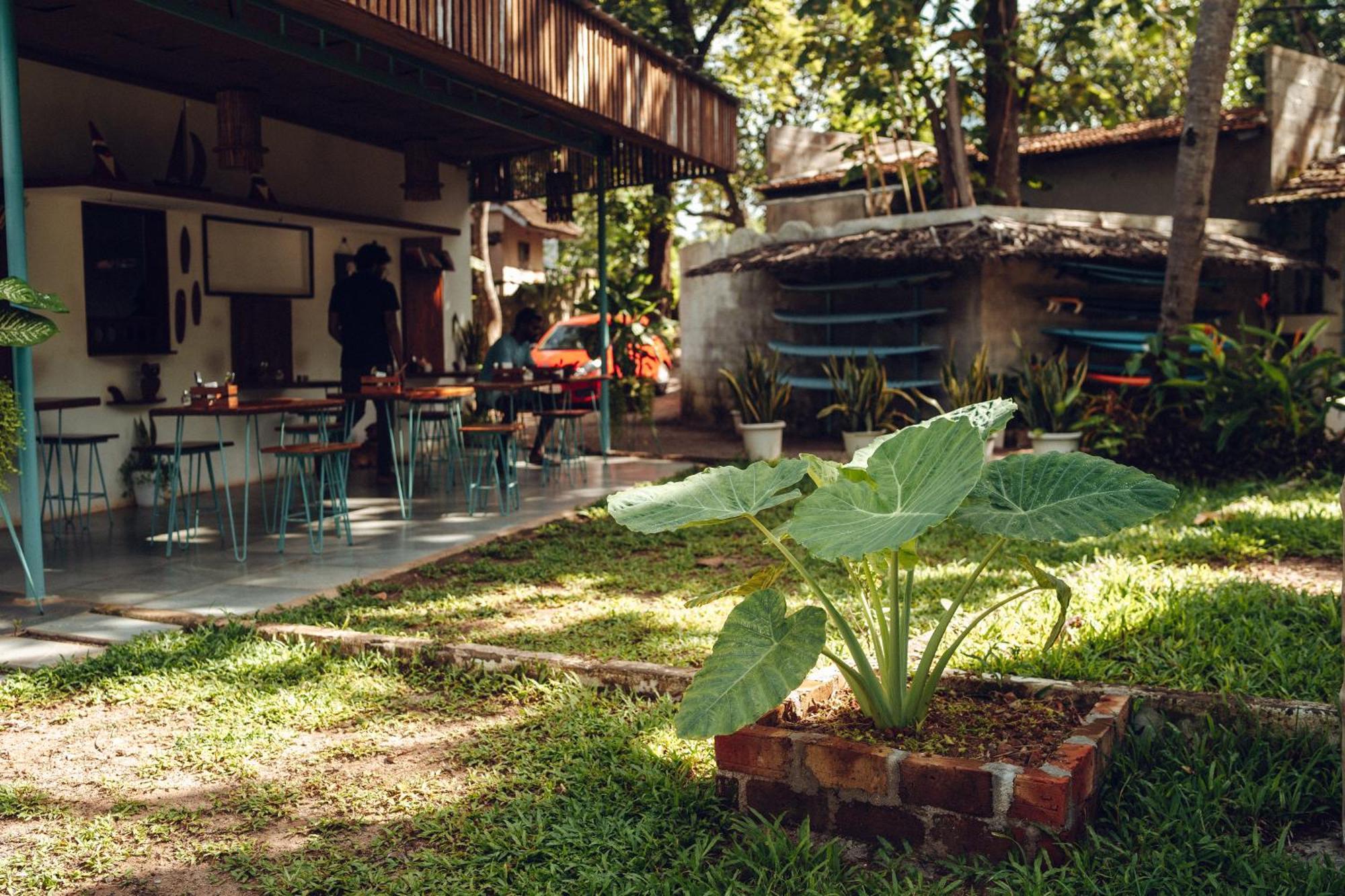 Paddlecult Surf Retreat Bed and Breakfast Varkala Esterno foto