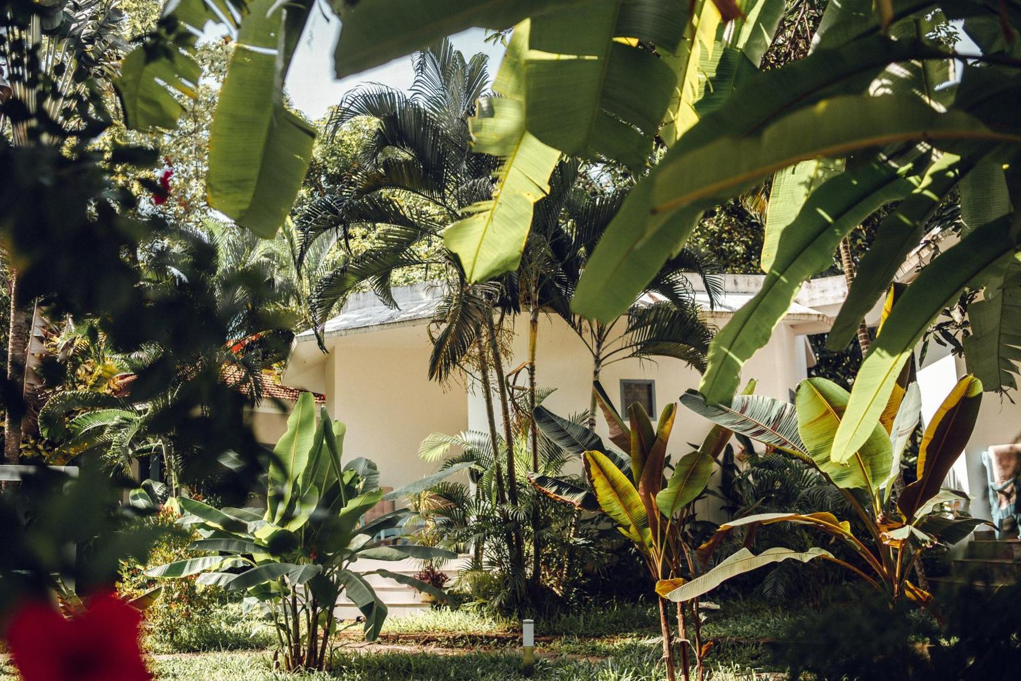 Paddlecult Surf Retreat Bed and Breakfast Varkala Esterno foto