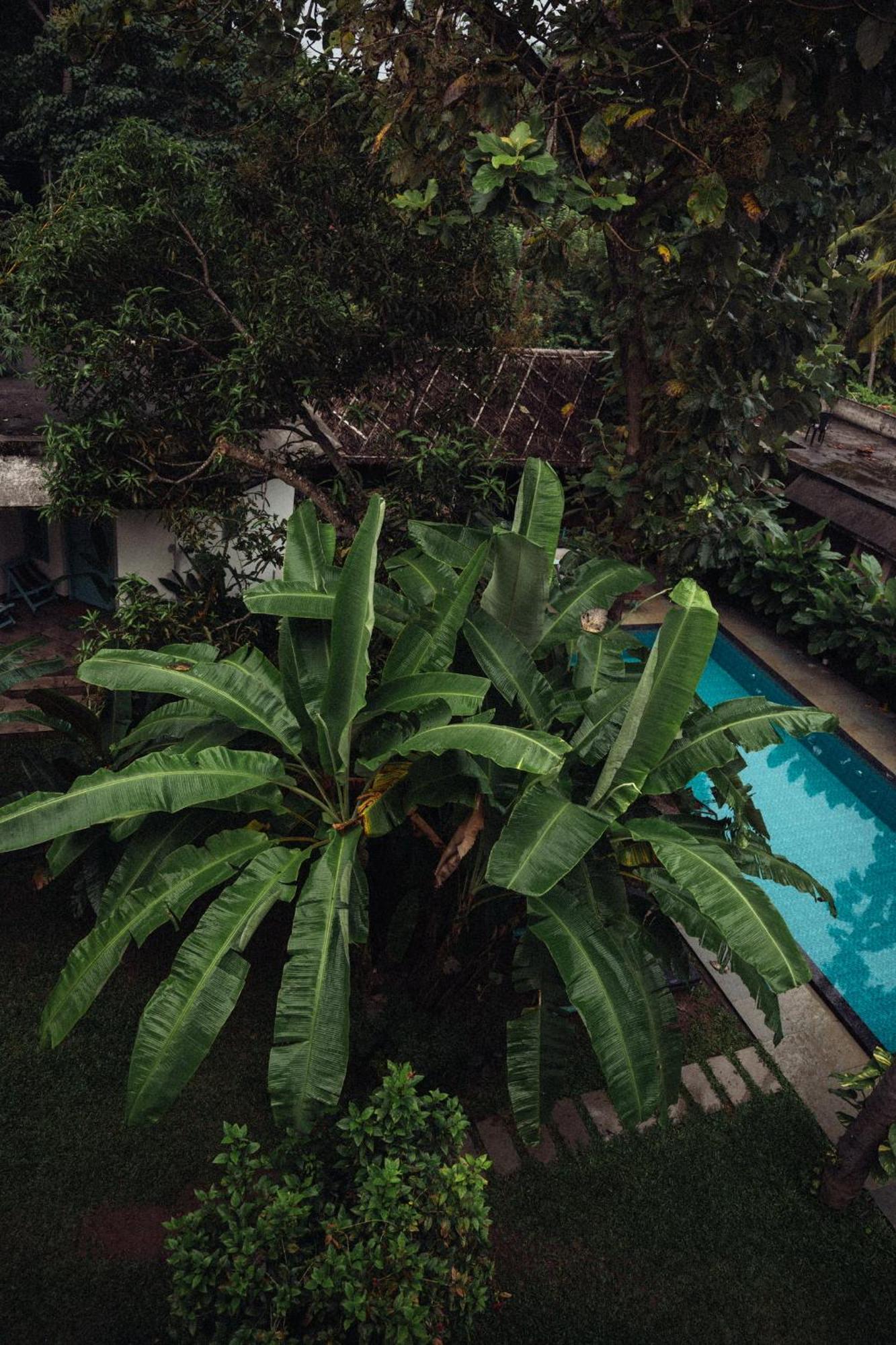 Paddlecult Surf Retreat Bed and Breakfast Varkala Esterno foto